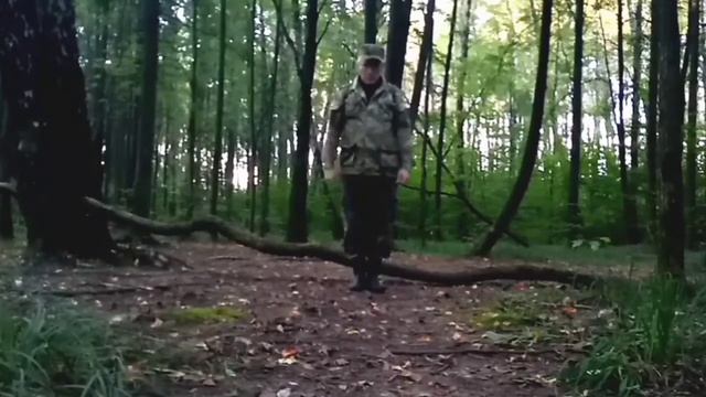 Начинаем утреннюю гимнастику.