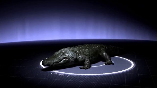 All MonsterQuest Monsters