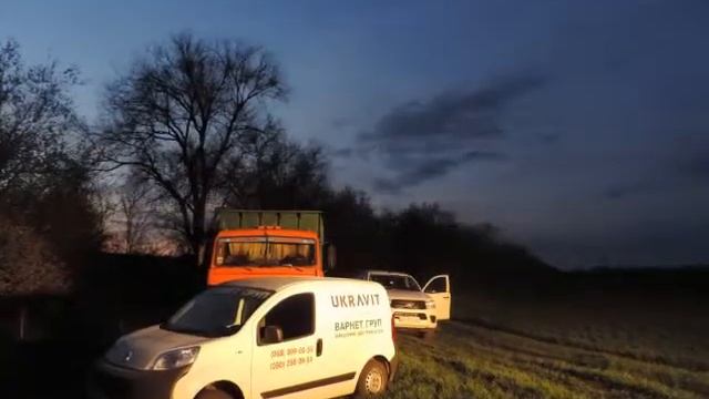 Озима пшениця смотреть онлайн