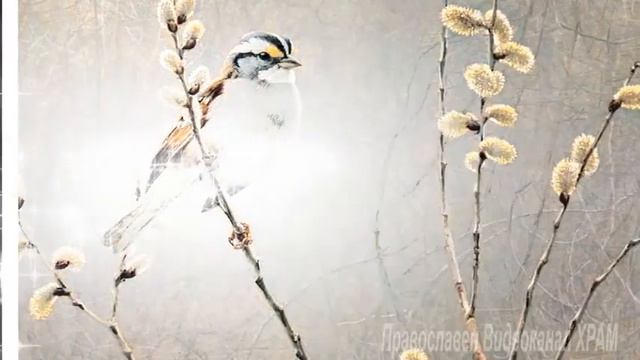 Тропар на Вход Господен в Йерусалим- Неделя Вайя ( Цветница, Връбница) смотреть онлайн