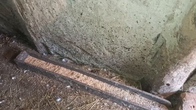 ДЕРЕВЕНСКИЕ ЗАБОТЫ БОЛЬШЕ НИКОГО НЕ ВОЛНУЮТ... смотреть онлайн