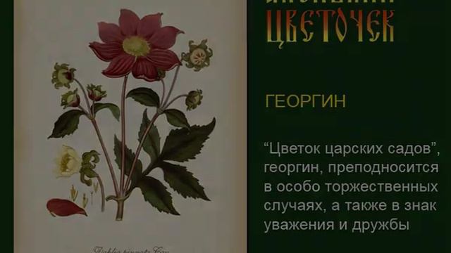 Блокнот-ежедневник "Аленький цветочек" смотреть онлайн