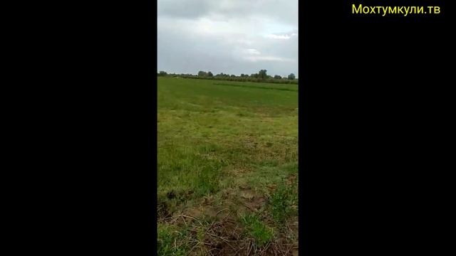 МИНИ ТРАКТОР ИЗ ЖИГУЛИ Шовот Мохтумкулидо заказ булса оломиз#самодельный минитрактор из мотоблока смотреть онлайн