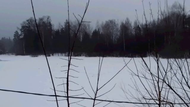 Рыбацкая деревня в Юрлово 12.03.2023 смотреть онлайн