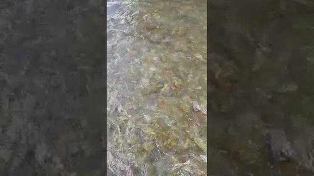 Видео 1 смотреть онлайн