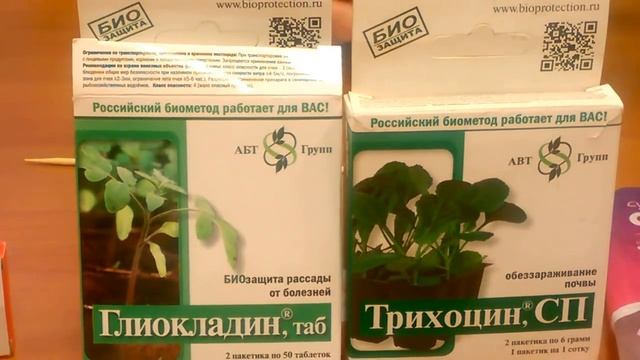 ПЕРЕСАДКА ОРХИДЕИ _ ЧТО НЕОБХОДИМО ЗНАТЬ... смотреть онлайн