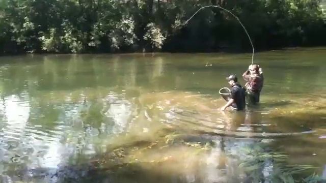 PECHE GROSSE TRUITE NYMPHE VUE VINCENT RACINE RECORD 2011 DOUBS 4.5kg 75cm VOIR EN INTEGRAL смотреть онлайн