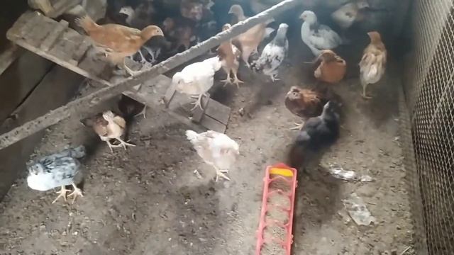 НАШ СЕЗОННЫЙ БИЗНЕС ???/СКОЛЬКО Я ЗАРАБОТАЛА ЗА ВЕСНУ? смотреть онлайн