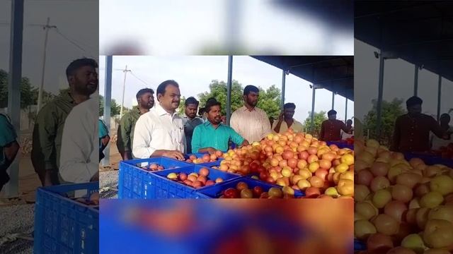JS Tomato Mundy Live action 1/07/22. #tomato #atp #JSATP смотреть онлайн