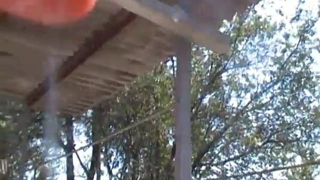 Облей себя холодной водой или перечисляй 10 грн на форум больных людей смотреть онлайн