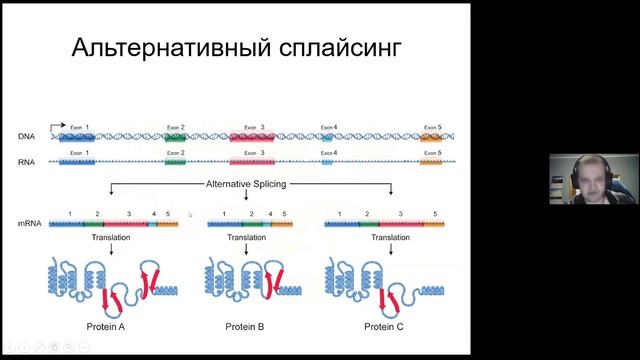 Цитология и молекулярная биология клетки смотреть онлайн