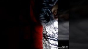 ТБИ НАС привязали к дереву.  😱😨