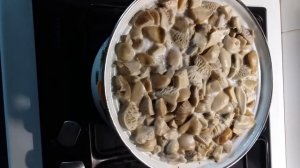 Как правильно варить грибы , синяя ножка.