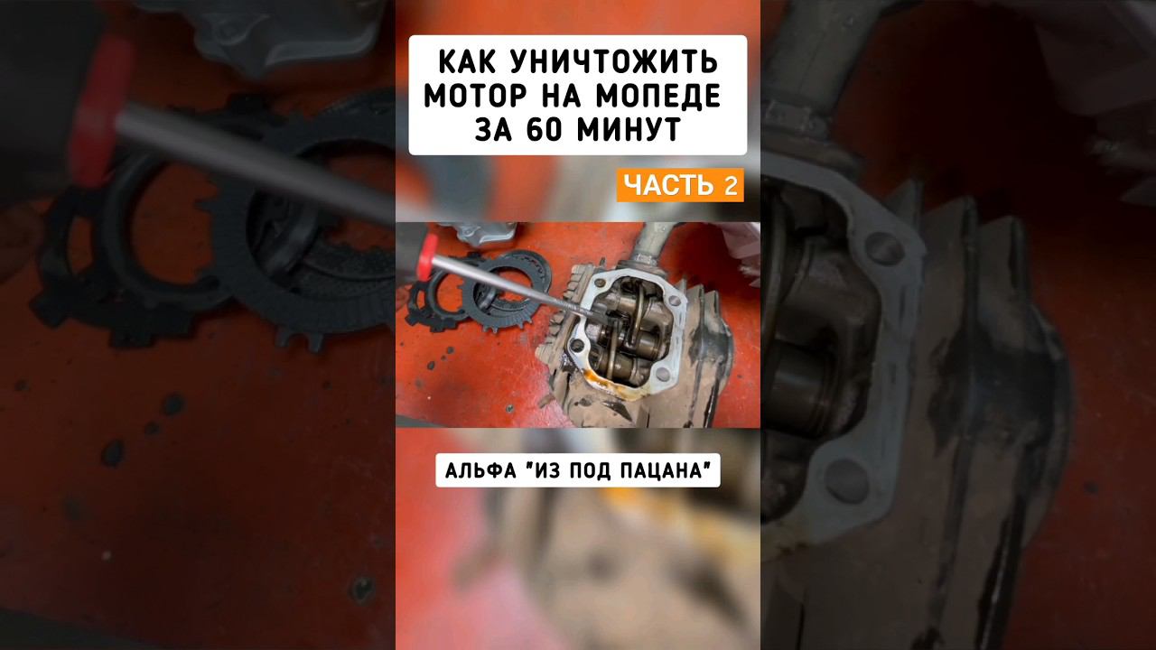 Альфа из под пацанов смотреть онлайн