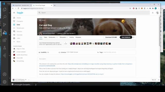Flutter Cat and Dog Detection App Tutorial with Deep Learning | Build AI App Using Flutter смотреть онлайн