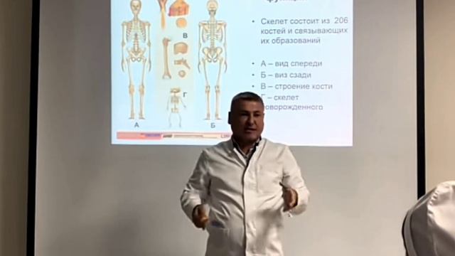 бей в кость русская злость. сагиттальный; фронтальный; горизонтальный бомонд АК-крепкая трость🌞 смотреть онлайн