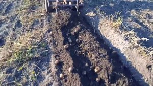 Картофелекопалка своими руками (доработка)