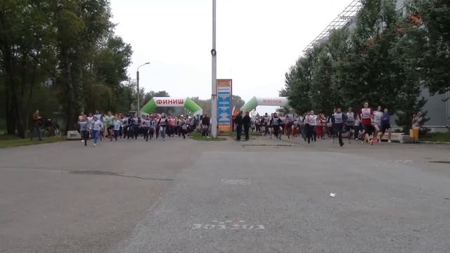 НАШ СПОРТ: Центр спортивной подготовки сборных команд Республики Хакасия смотреть онлайн