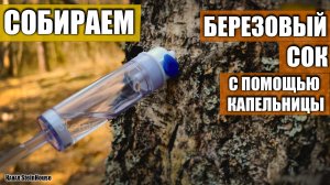 Как собрать березовый сок - Лучший способ, с помощью капельницы