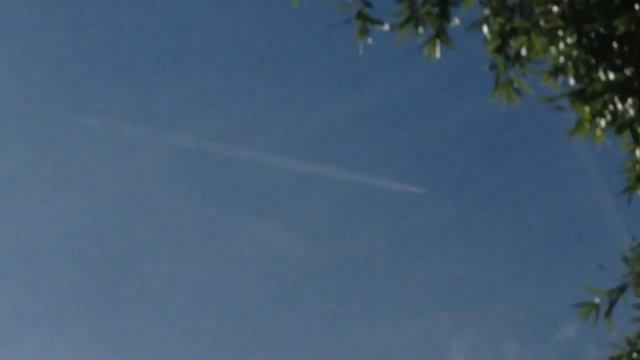 Toxic Death Skies June 19, 2019 смотреть онлайн