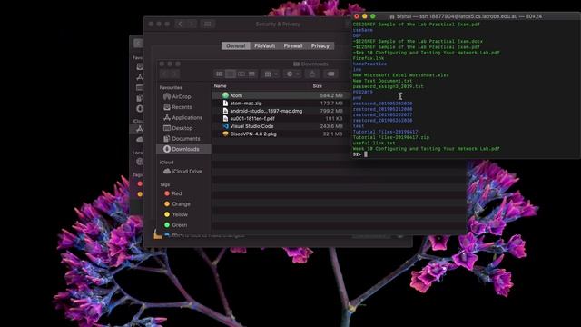 Guide to connect Atom editor and terminal from home смотреть онлайн
