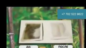 Пластырь киноки