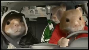 Хомяки на Kia Soul - реклама года в США