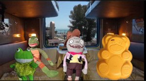 ЧЕРЕПУХУС ЕДЕТ В ТУАПСЕ!