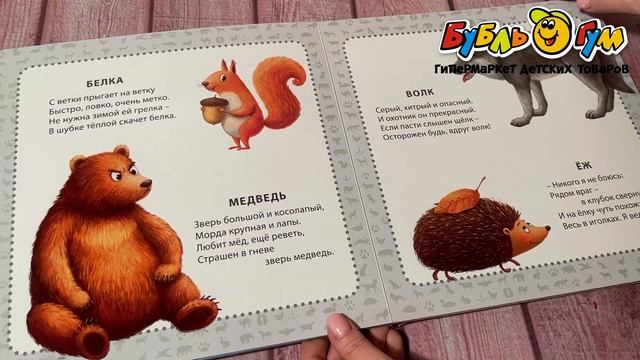 Книга Мои первые картинки и стихи Животные Сосновский Е.