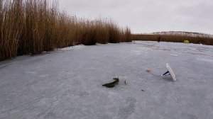КАРПОВКА. РЫБАЛКА НА ЖЕРЛИЦЫ. Волгоградская область.