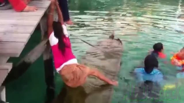 ХОРОШАЯ Подборка #44 GOOD Compilation смотреть онлайн