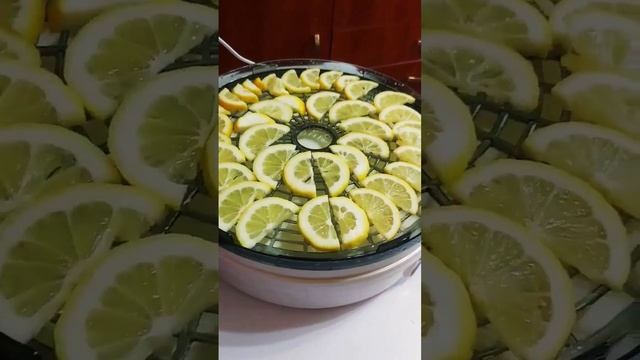 сушка лимона в дегидраторе. заготовка на зиму (чай) смотреть онлайн