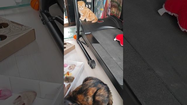 совсем уже большухи😮😜 смотреть онлайн