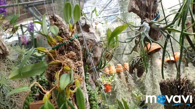 Прогулка по оптовому рынку Сеула.Часть1. смотреть онлайн