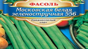 Фасоль Московская белая зеленостручная 556