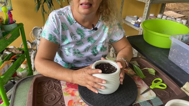 TRANSPLANTANDO PLANTAS RARAS DE INTERIOR Y 5 CONSEJOS PARA MAMA Y PAPA PLANTILES. 🙋🏼♀️🪴 S2-E142 смотреть онлайн
