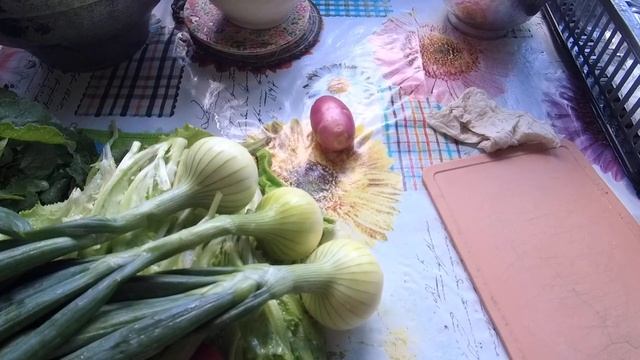 Жизнь в селе.Кормим птицу расторопшей,убираем сорняки. смотреть онлайн