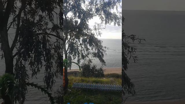 звук спокойного вечернего моря смотреть онлайн
