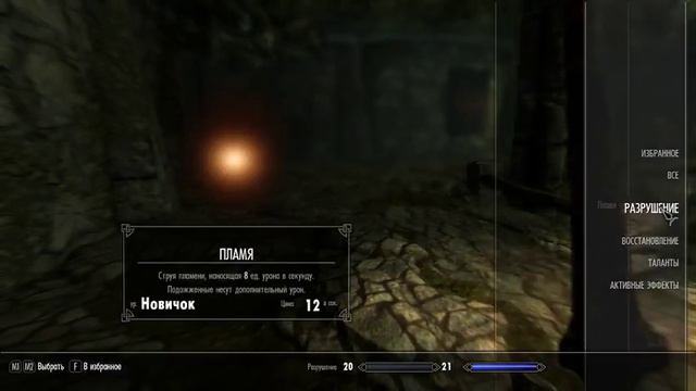 Skyrim #1