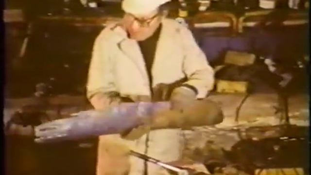 Josef Petriska and 'Struggle for Survival' - CBC's The Nature of Things 1985 смотреть онлайн