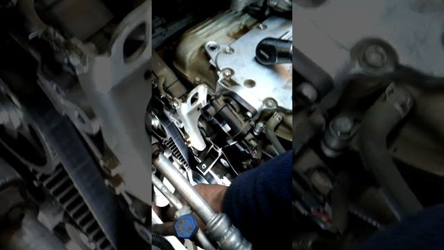 Cambió Banda Distribución Honda Pilot 3.5 Año 2013