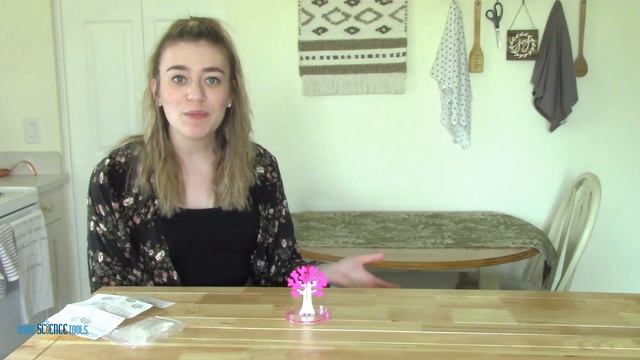 How To Grow Crystals At Home | EASY Crystal Tree Growing Experiment