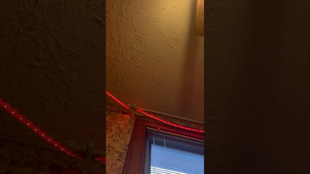 Hey watch this video of Esynce being the teacher! #AvaNEsynce смотреть онлайн