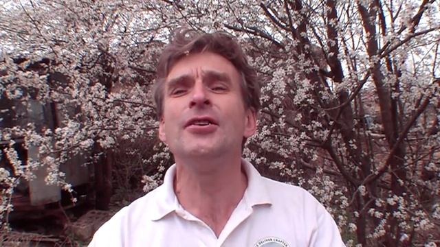 ТИХИЕ ЗОРИ Борис Зайцев. смотреть онлайн