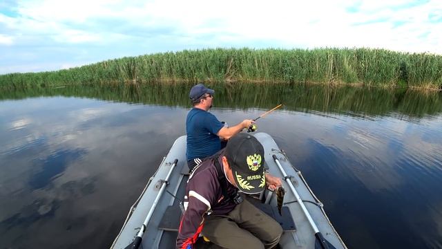 Щука и окунь на спиннинг в июле. ? Долгожданное открытие. смотреть онлайн