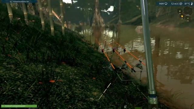 Ultimate Fishing Simulator VR - река амазонка. смотреть онлайн