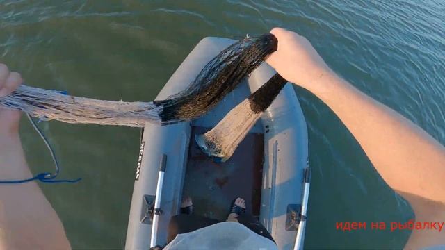 кастинговая сеть классная рыбалка (осетр судак карась подлещик тарань) смотреть онлайн