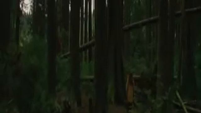 New Moon (Twilight 2) Du Point De Vue De Calypso