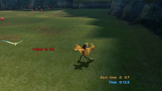 Final Fantasy X HD: Chocoobo Rider & Chocobo Master Trophies