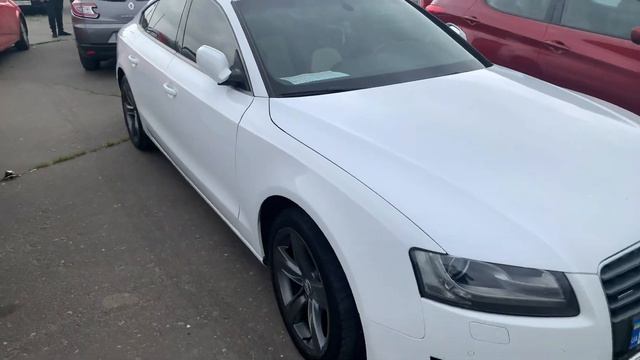 Авторынок «Куяльник» (Яма) Одесса. Обзор рынка, цены на авто смотреть онлайн